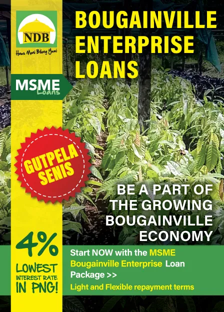 NDB brochure: Bougainville Enterprise loans