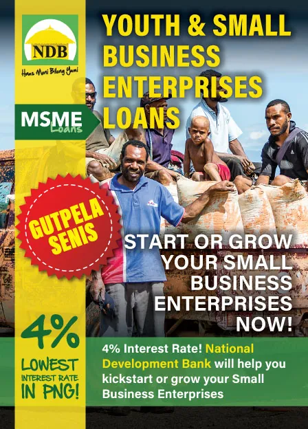 NDB brochure: Youth and Small Business Enterprises loans